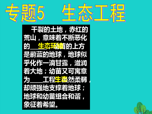 高中生物5.1生态工程的基本原理课件1新人教选修3