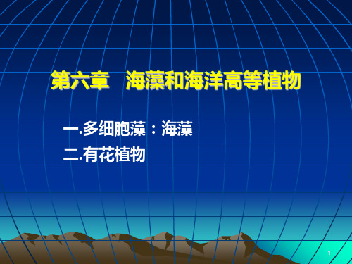 6海藻和海洋高等植物PPT课件