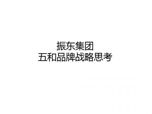 振东集团战略思考1