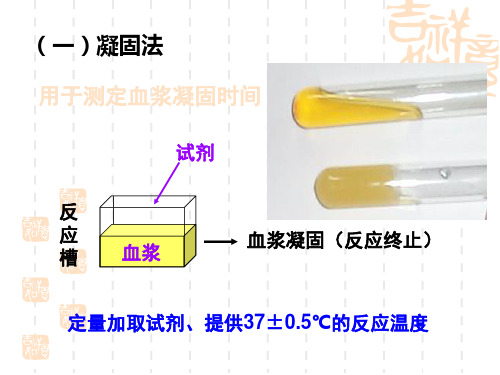 血栓弹力图-血凝仪