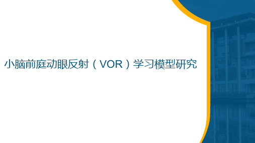 小脑前庭动眼反射学习模型研究