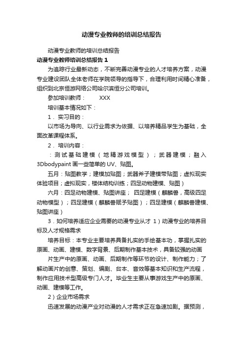 动漫专业教师的培训总结报告