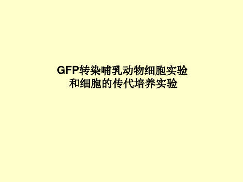 细胞生物学技术：GFP转染哺乳动物细胞实验和细胞的传代培养实验