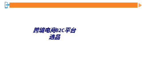 跨境电商B2C平台选品专题培训课件