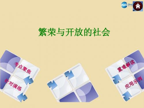 山东省泰安市新城实验中学2015年中考历史《繁荣与开放的社会》复习课件3