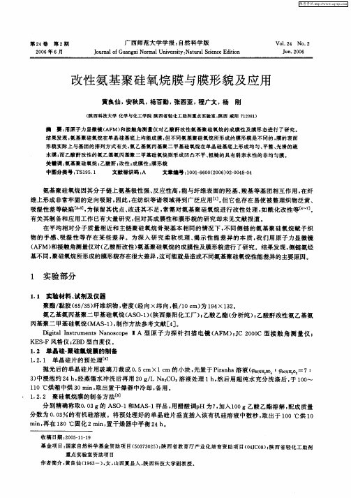 改性氨基聚硅氧烷膜与膜形貌及应用