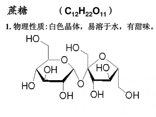 二糖和多糖