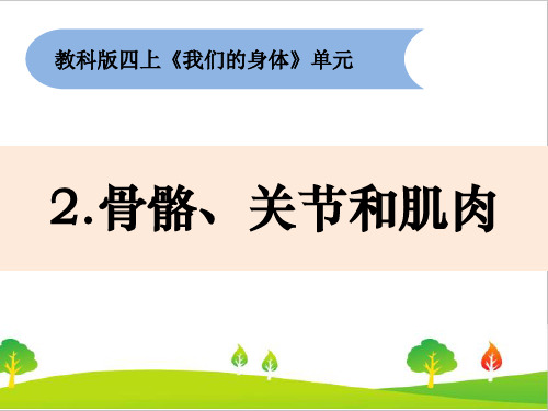 最新教科版四年级上册科学《骨骼、关节和肌肉》教学课件