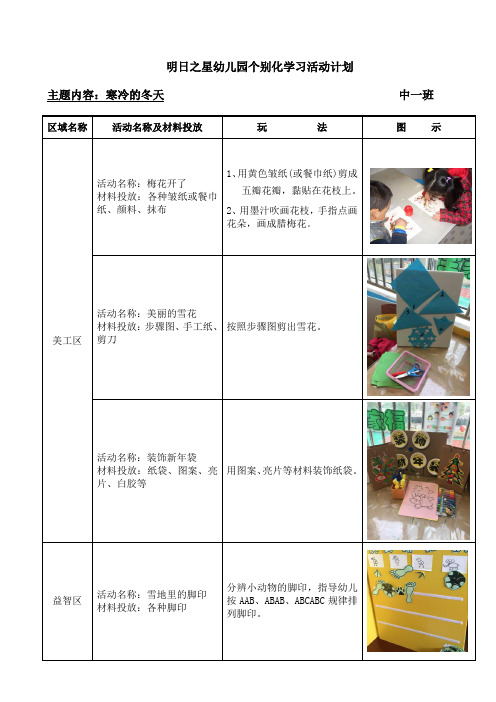 个别化学习活动计划(寒冷的冬天)