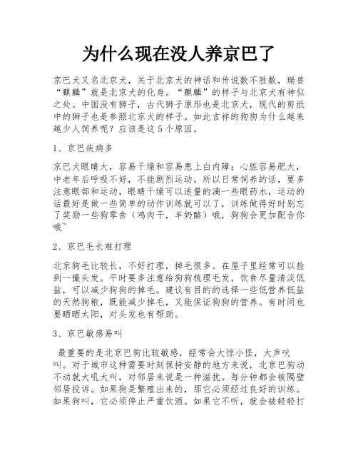 为什么现在没人养京巴了