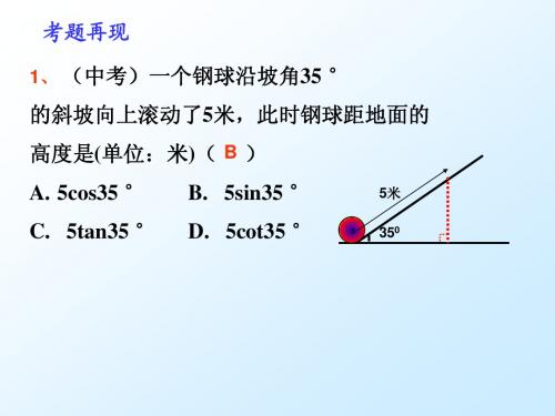 解直角三角形复习课件(仰角、俯角)[