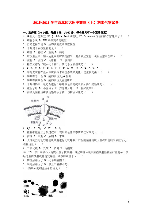 西北师大附中高三生物上学期期末试卷(含解析)