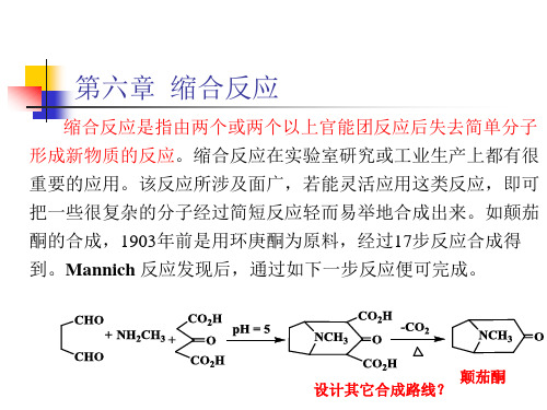 有机合成化学：第六章 缩合反应