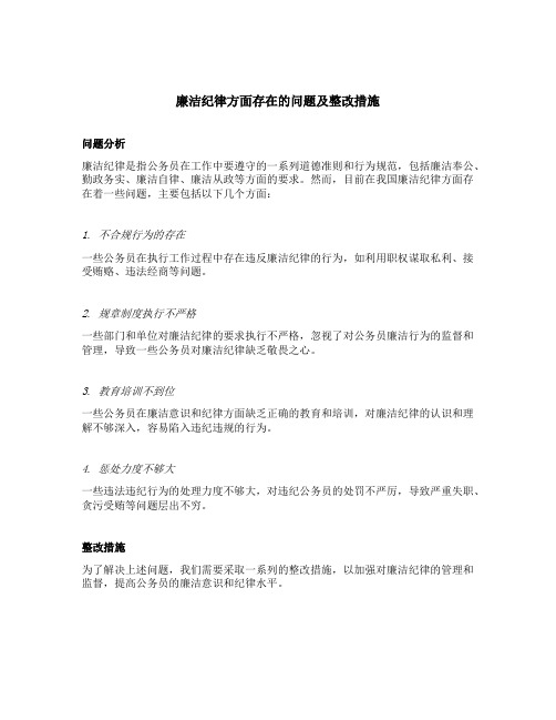 廉洁纪律方面存在的问题及整改措施