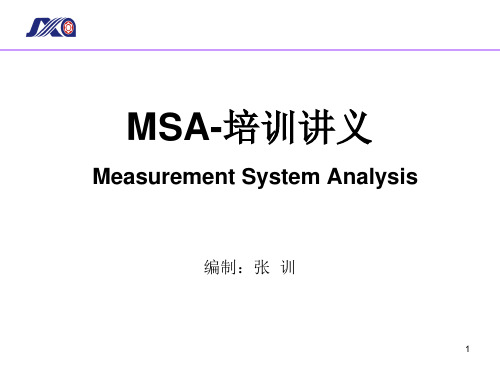 MSA实战培训