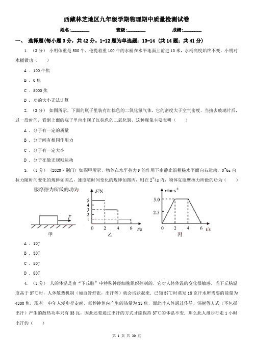 西藏林芝地区九年级学期物理期中质量检测试卷