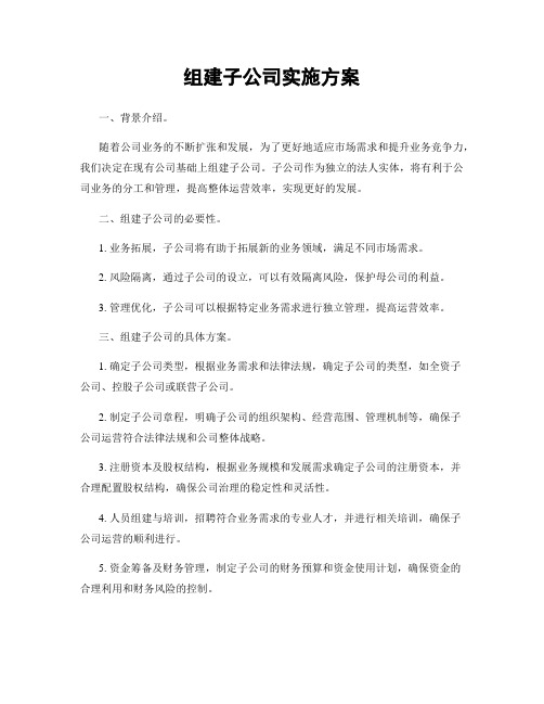 组建子公司实施方案