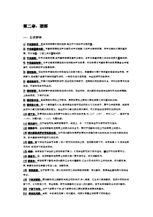 局部解剖学名词解释+简答——颈部