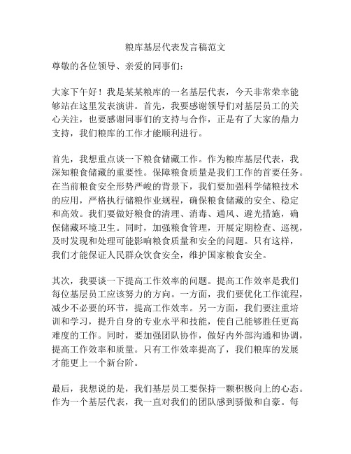 粮库基层代表发言稿范文