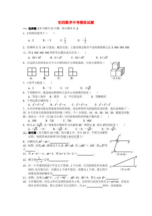 初四数学中考模拟题