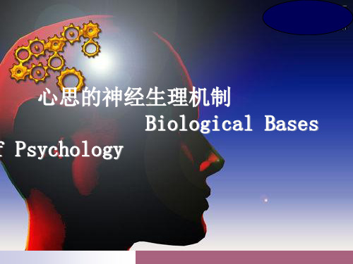 人体解剖生理学 第二章 心理的神经生理机制ppt课件