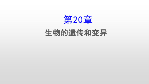 2020年中考备考-生物的遗传和变异  知识点总结复习课件(29张ppt)