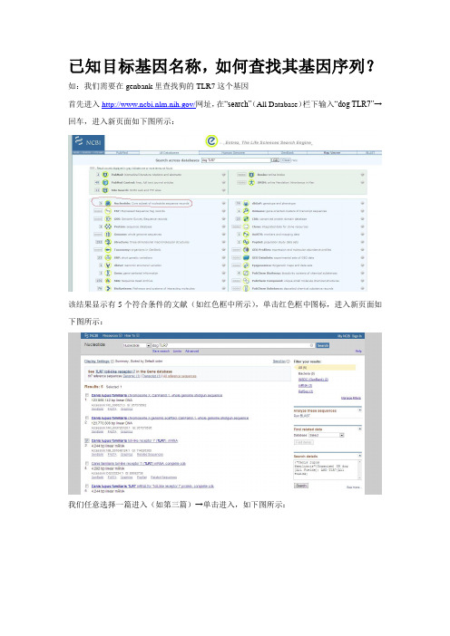 已知目标基因名称如何在genbank里查找序列