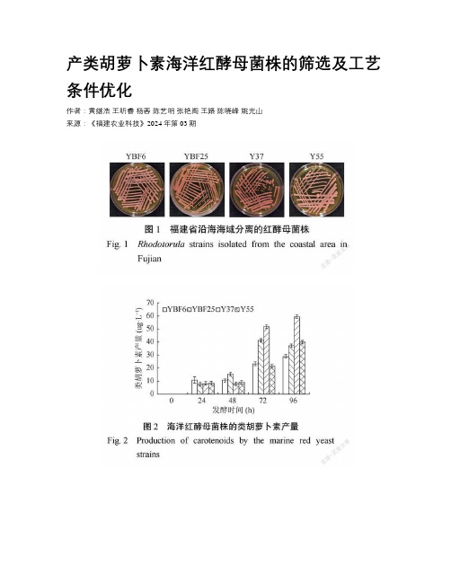 产类胡萝卜素海洋红酵母菌株的筛选及工艺条件优化