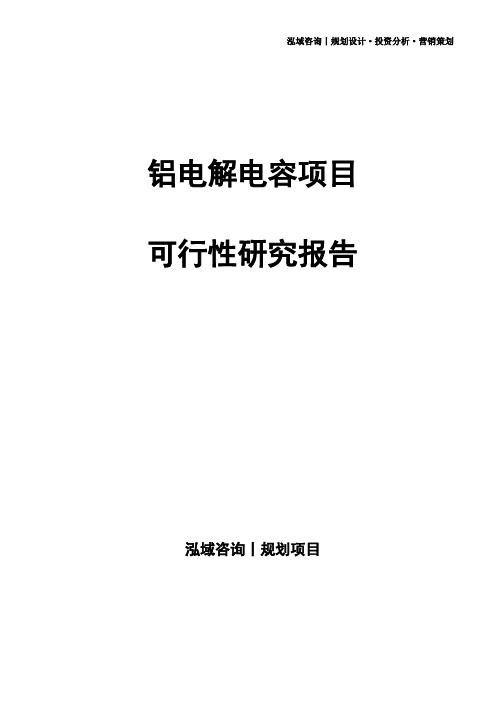 铝电解电容项目可行性研究报告