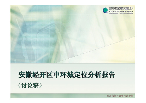 2008年安徽经开区中环城定位分析报告[1]