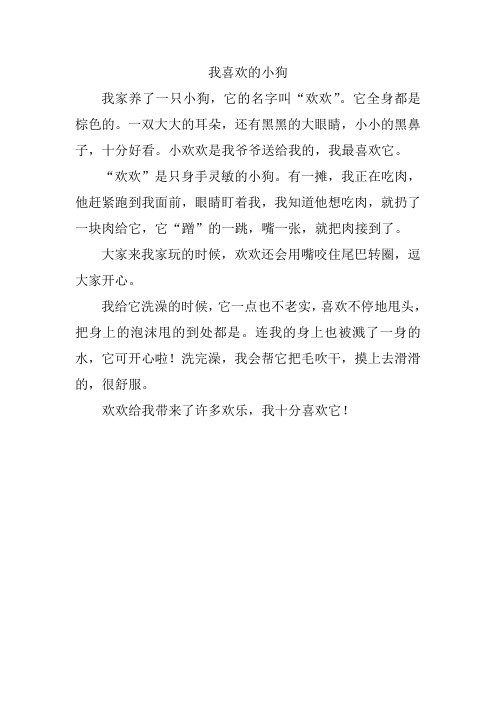 我喜欢的小狗