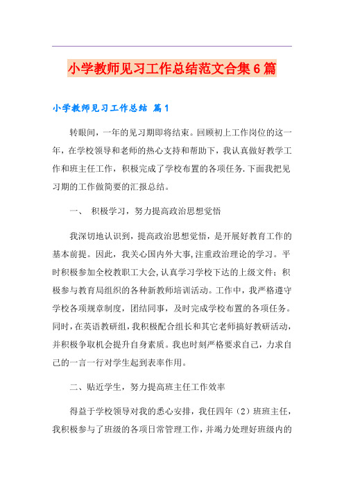 小学教师见习工作总结范文合集6篇