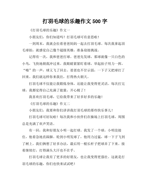 打羽毛球的乐趣作文500字