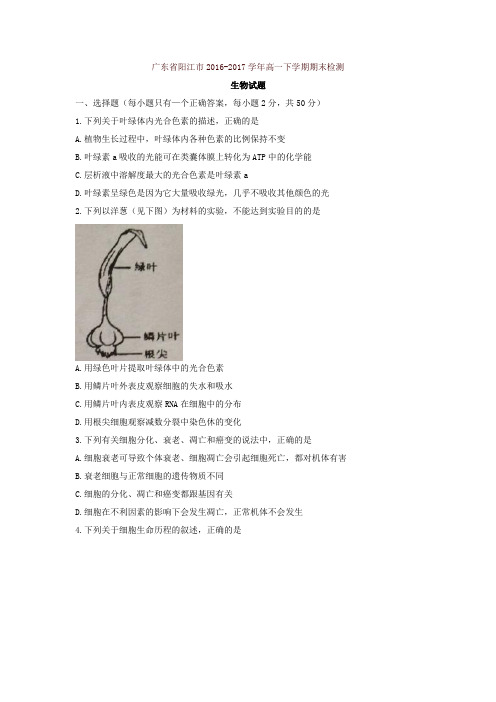 广东省阳江市2016-2017学年高一下学期期末检测生物试题含答案