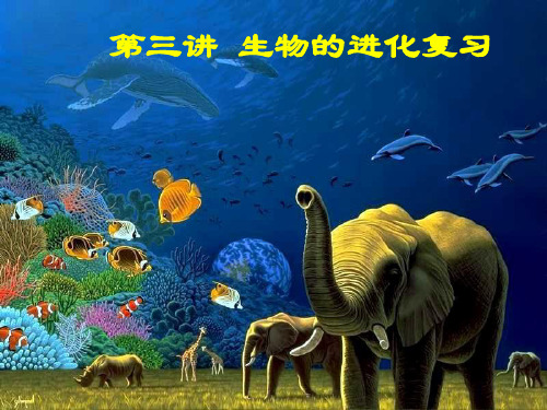 高三复习：生物的进化.ppt