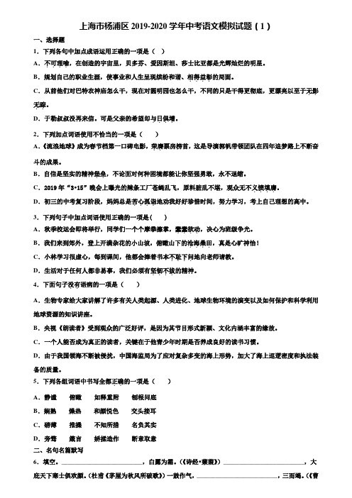 上海市杨浦区2019-2020学年中考语文模拟试题(1)含解析