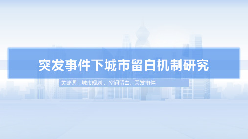 突发事件下城市留白机制研究