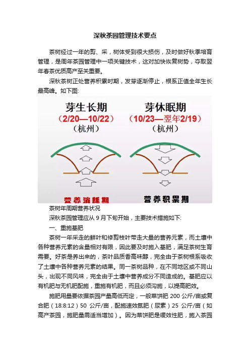 深秋茶园管理技术要点