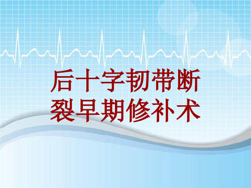 外科手术教学资料：后十字韧带断裂早期修补术讲解模板