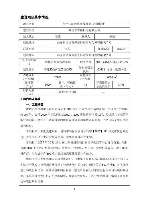 年产300吨电磁线及高压线圈项目环境影响报告表