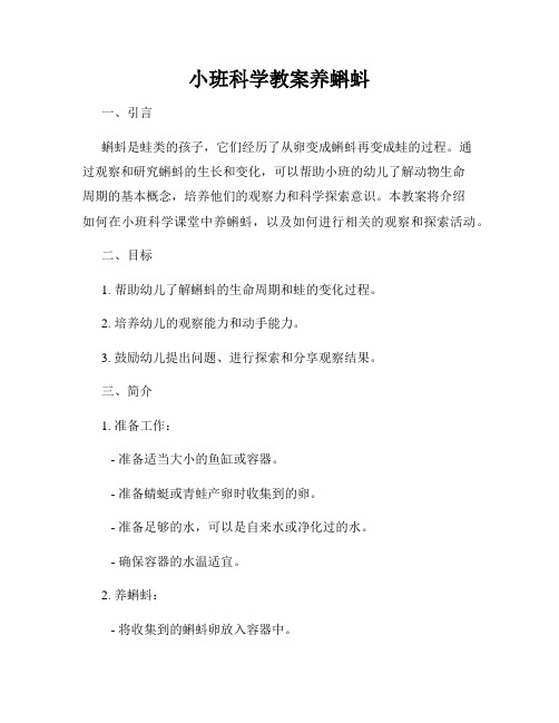 小班科学教案养蝌蚪