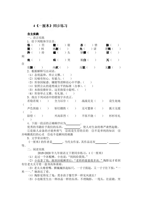 2019-2020年九年级语文下册同步练习：4《一厘米》