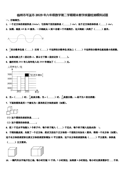 梧州市岑溪市2023年六年级数学第二学期期末教学质量检测模拟试题含解析