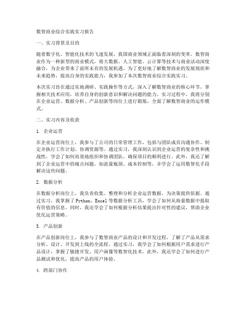 数智商业综合实践实习报告