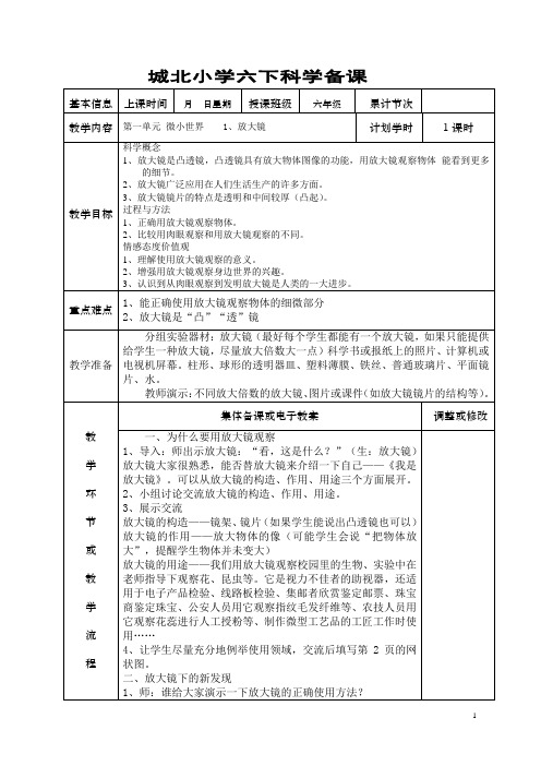 教科版六年级科学下册表格教案