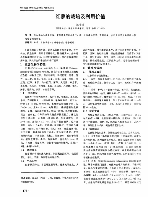 红蓼的栽培及利用价值
