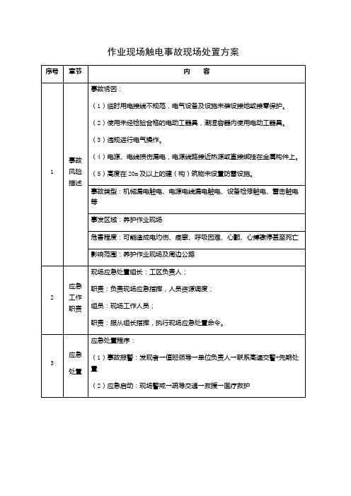 作业现场触电事故现场处置方案