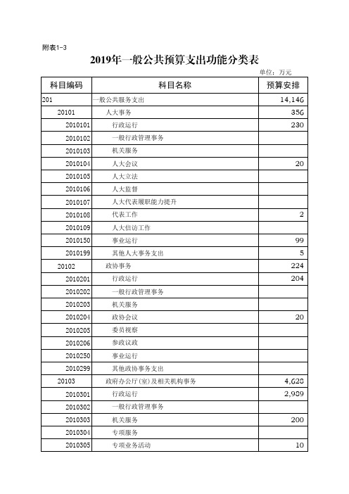 2019年一般公共预算支出功能分类表