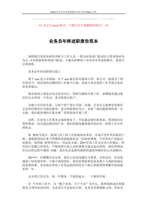 2019-业务员年终述职报告范本-实用word文档 (6页)