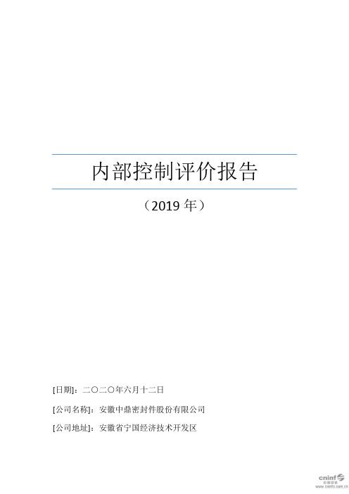 中鼎股份：内部控制评价报告(2019年)